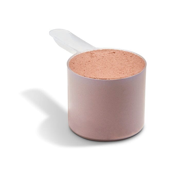 Solgar® Grass-Fed Whey To Go (Chocolate) Solgar