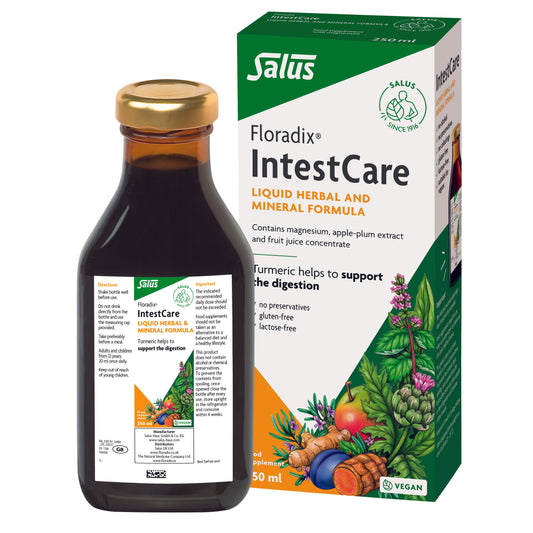 Floradix Intestcare 250 ml