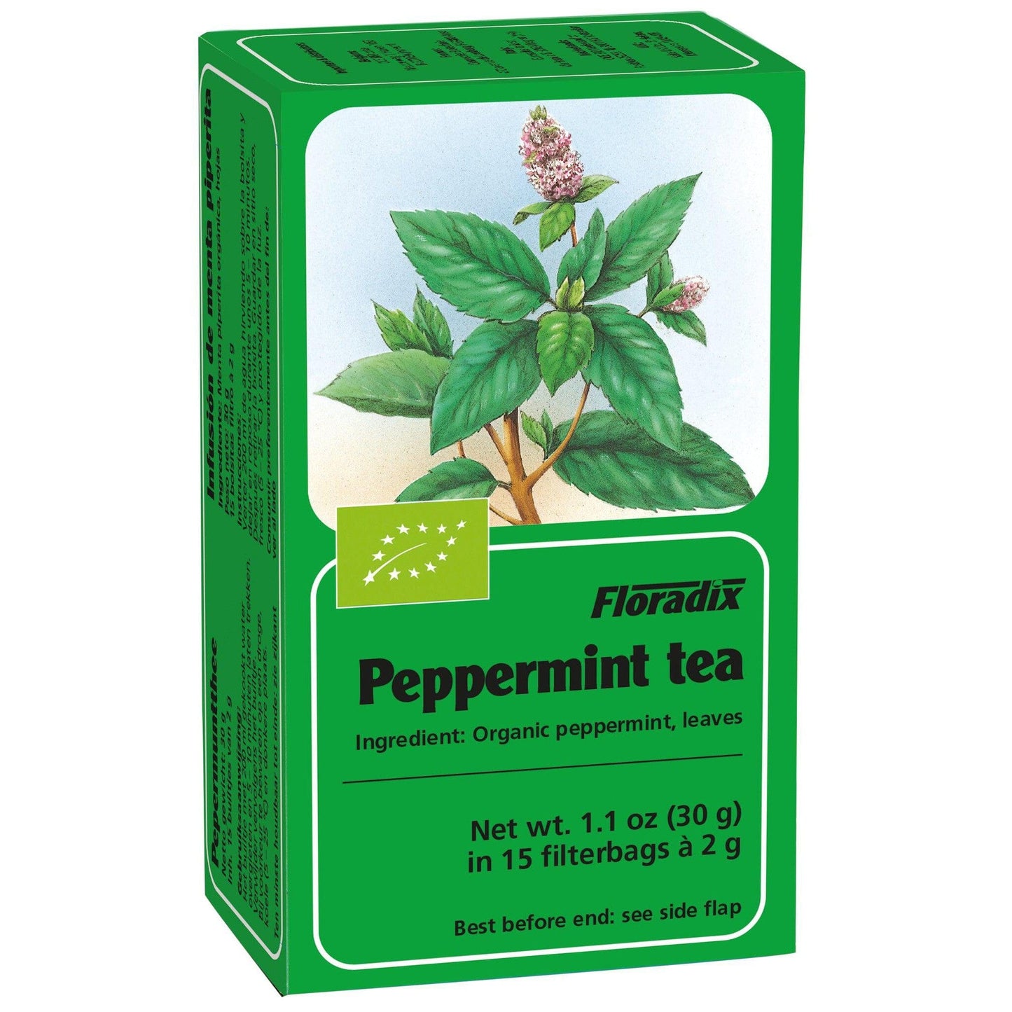 Floradix Herbal Tea Peppermint 15's Tea Bags Floradix 