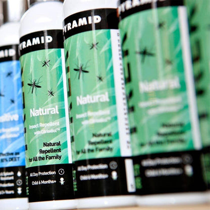 Pyramid Trek Natural